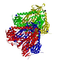 Image of CATH 2wpc