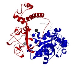 Image of CATH 2wpn