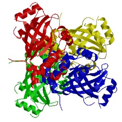 Image of CATH 2wpo