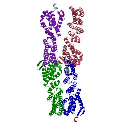 Image of CATH 2wpv