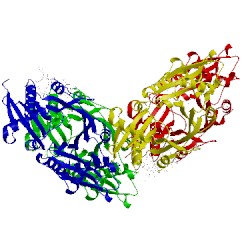 Image of CATH 2wpw