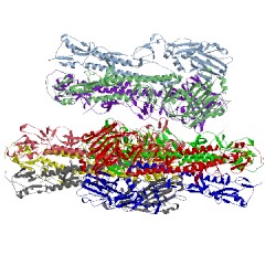 Image of CATH 2wrf