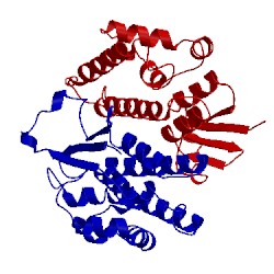 Image of CATH 2ws2