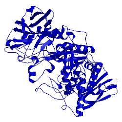 Image of CATH 2wsk