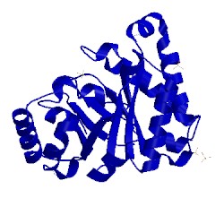 Image of CATH 2wsr