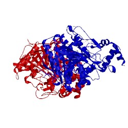 Image of CATH 2wu4