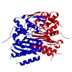 Image of CATH 2wuq