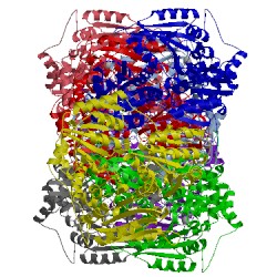 Image of CATH 2wva