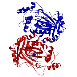 Image of CATH 2wwj