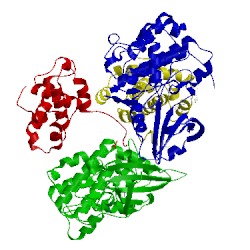 Image of CATH 2wxv