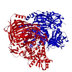 Image of CATH 2wyh