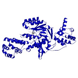 Image of CATH 2wzg