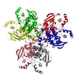 Image of CATH 2wzj