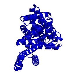 Image of CATH 2wzk