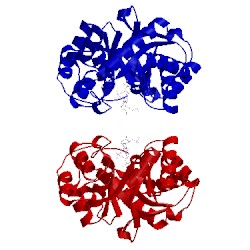 Image of CATH 2wzm