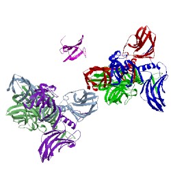 Image of CATH 2wzp