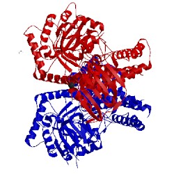 Image of CATH 2x0h