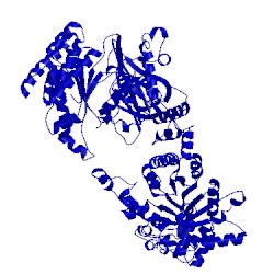 Image of CATH 2x0s