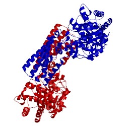 Image of CATH 2x0y