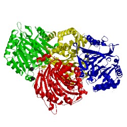 Image of CATH 2x1c