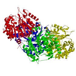 Image of CATH 2x1d