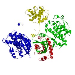 Image of CATH 2x1n