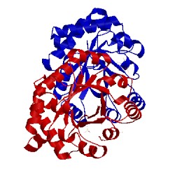 Image of CATH 2x1s