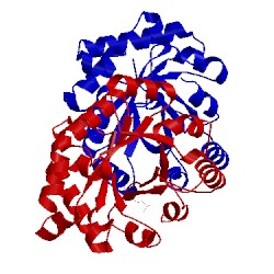 Image of CATH 2x1t