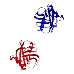 Image of CATH 2x2d