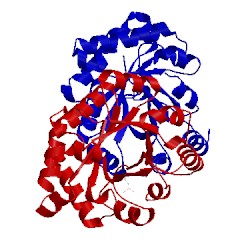 Image of CATH 2x2g