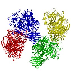 Image of CATH 2x2j