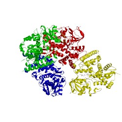 Image of CATH 2x2n
