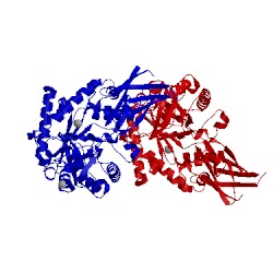 Image of CATH 2x2y