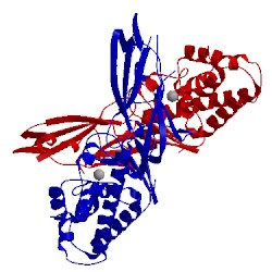 Image of CATH 2x3b