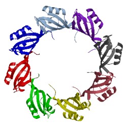 Image of CATH 2x3d