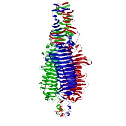 Image of CATH 2x3h