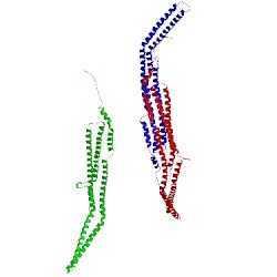 Image of CATH 2x3v