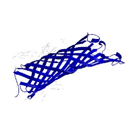 Image of CATH 2x55