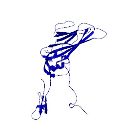 Image of CATH 2x5i