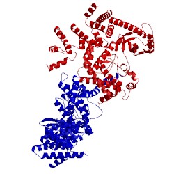 Image of CATH 2x6h