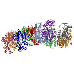 Image of CATH 2x6t