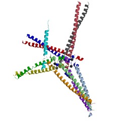 Image of CATH 2x7a