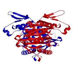 Image of CATH 2x7e