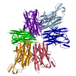 Image of CATH 2x7l