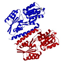 Image of CATH 2x7x