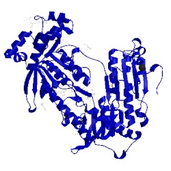 Image of CATH 2x8h