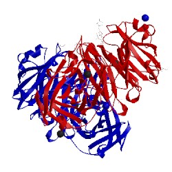 Image of CATH 2x8s