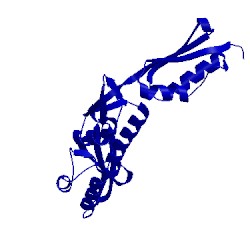 Image of CATH 2x8x