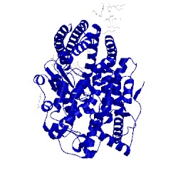 Image of CATH 2x91