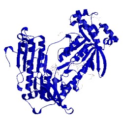 Image of CATH 2x99